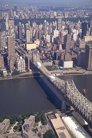 別府で見つかる！ペット可賃貸物件の最新情報と選び方ガイド