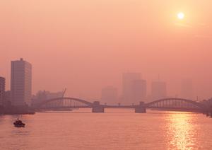 神戸で面積確定に必要な測量業務