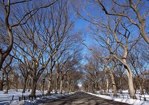 土地付きの太陽光発電の利用について