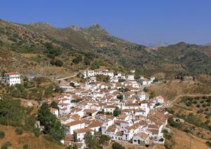 マンション管理サービスが充実していて安心